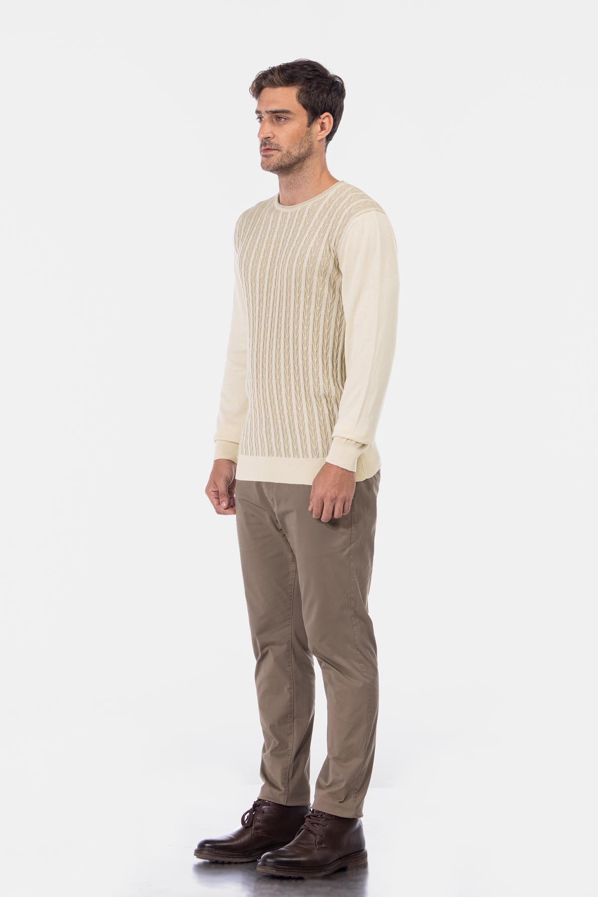 Jacquard Round Neck Beige Knitted Pullover