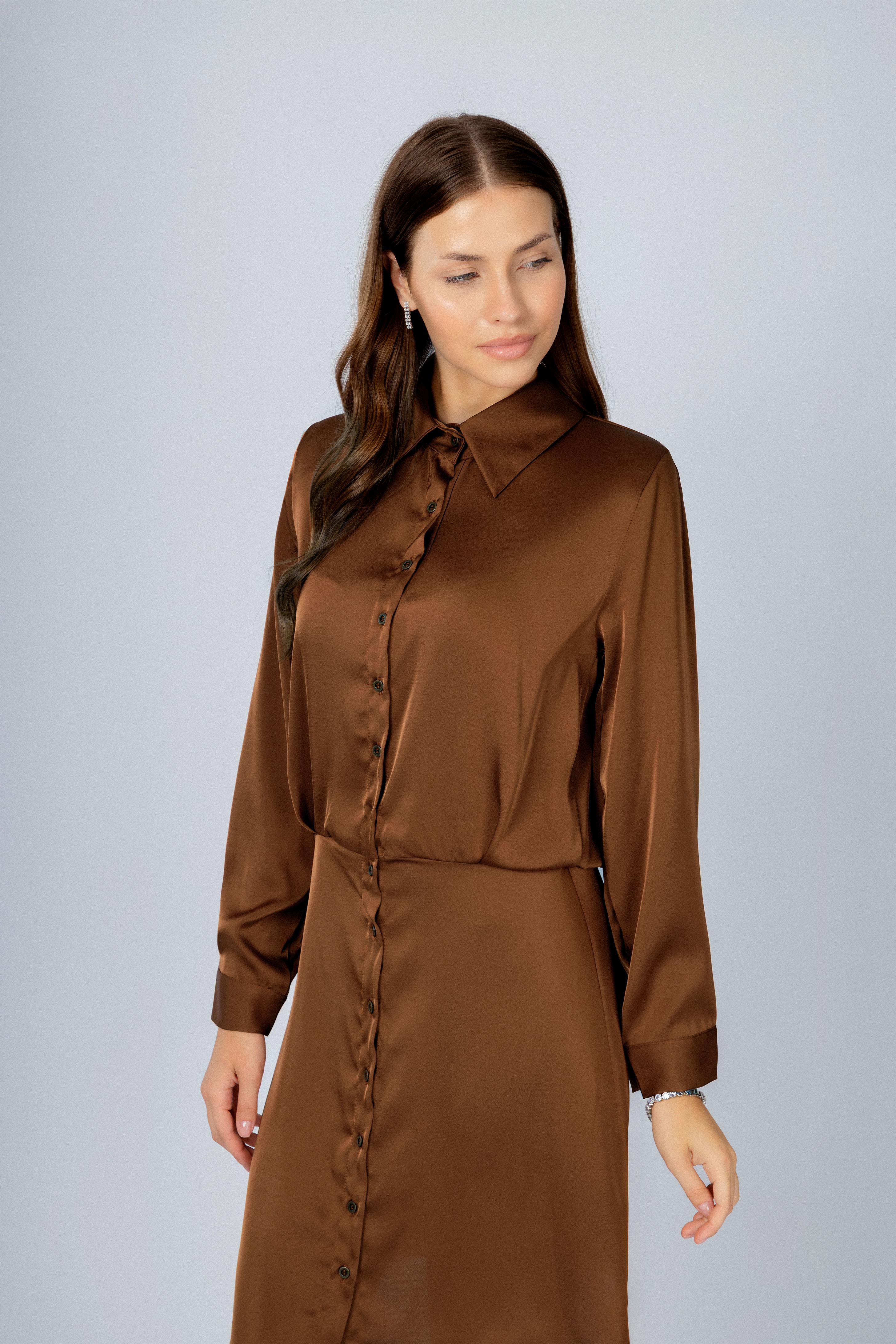 Chocolate Satin Short Classic Shirt Dress
