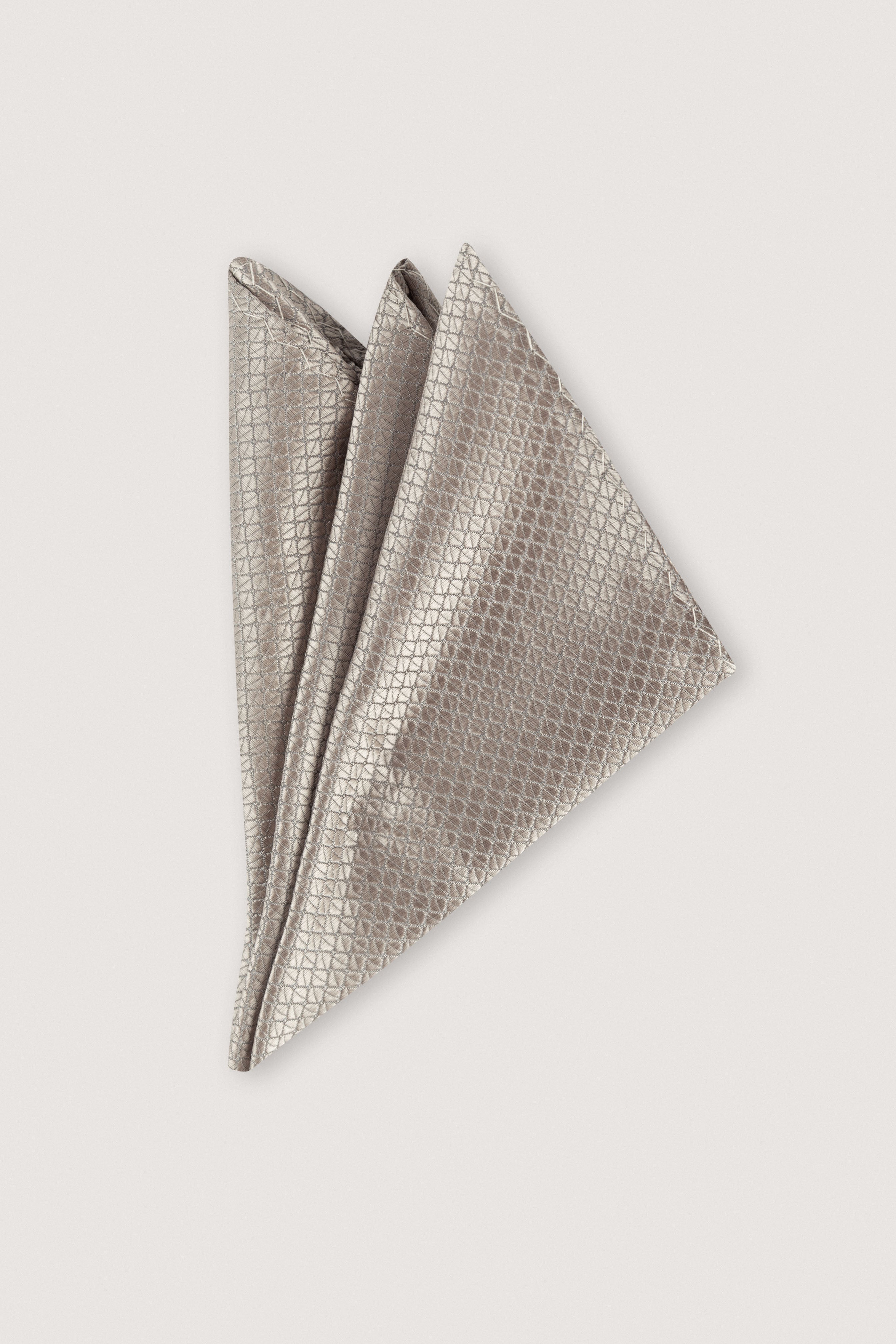 Sliver  Necktie with Handkerchief