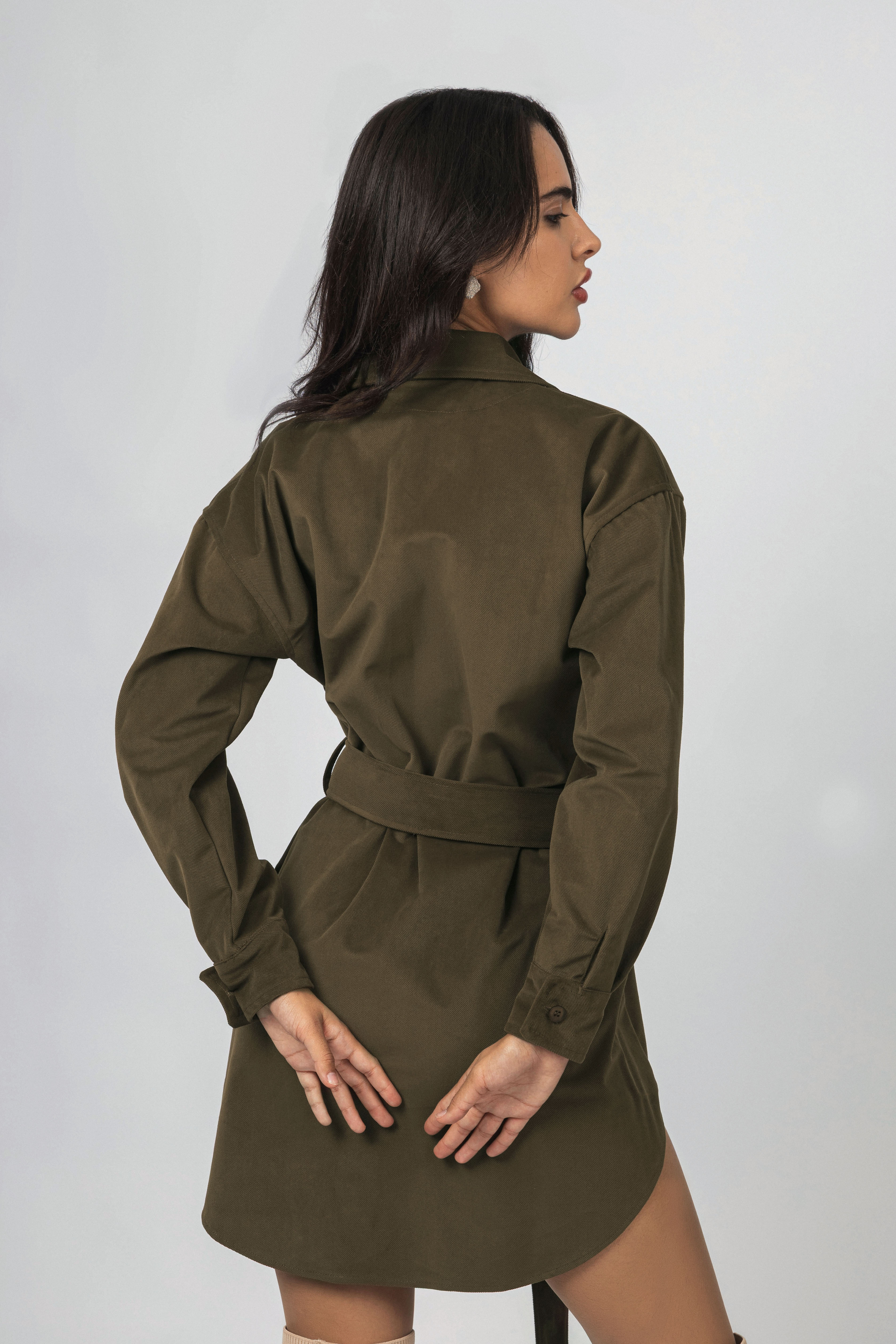 Brown  Button-Up Casual Shirt Dress