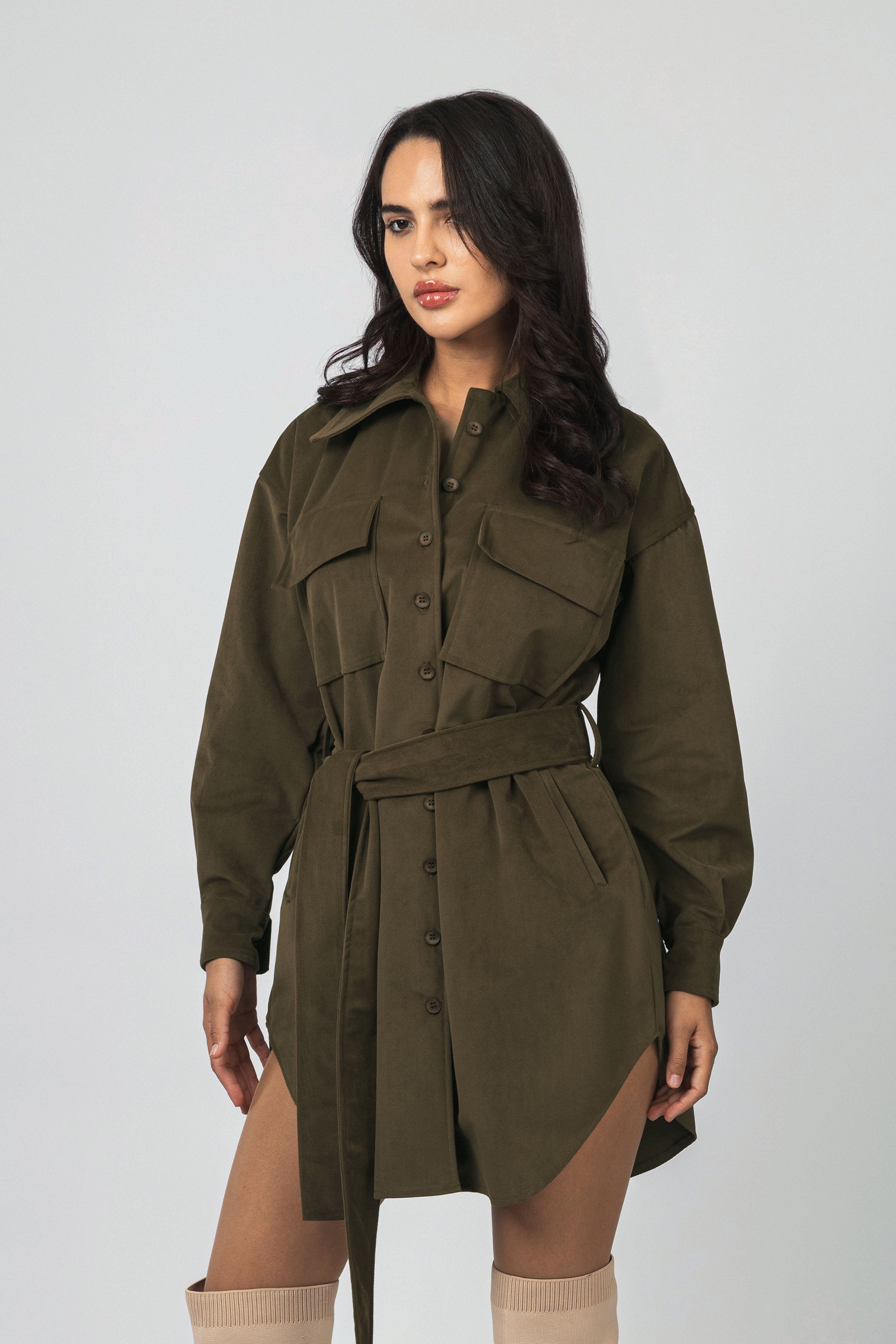 Brown  Button-Up Casual Shirt Dress